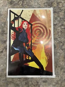 Sean Anderson * Juego de dos grabados de arte cómico * Viuda Negra * Vengadores * Firmado - Imagen 1 de 4