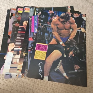 9 carteles pinup pliegues centrales de revista Wrestling Freeze Frame años 80 años 90 2 caras - Imagen 1 de 19