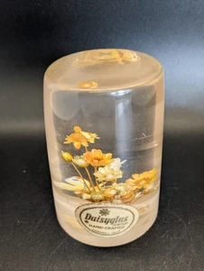 Pisapapeles vintage Daisyglas flores preservadas Lucite - Imagen 1 de 6