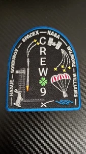 SpaceX Crew 9 Employee Mission Patch Falcon 9 - Bild 1 von 2