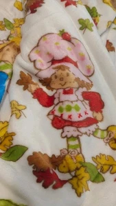 Strawberry Shortcake FALL Halloween Soft Plush Throw Blanket NEW - Picture 1 of 7