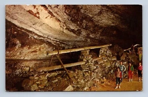 Saltpetre Pipes Mammoth Cave Kentucky Postcard NPC-16 Unposted - Imagen 1 de 2