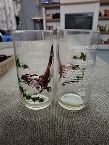 1978 Burger Chef Collector's Series Endangered Species Glass Bald Eagle Set 2 - Picture 1 of 3