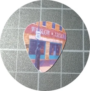 MAGNETIC EAGLES STANDING ON A CORNER WINSLOW ARIZONA GUITAR PICK - Picture 1 of 3