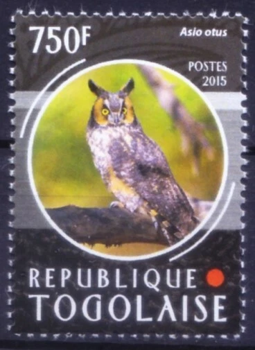 Togo 2015 MNH, búho de orejas largas, aves rapaces, rapaces  Foto 1 de 1