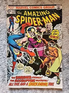 The Amazing Spider-Man #118 (Marvel Comics März 1973) - Bild 1 von 7
