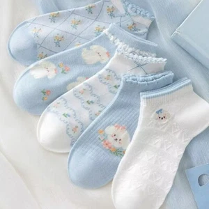 Cute little dog Sock Girl in summer - Picture 1 of 2