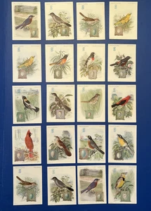 20 carte macchina da cucire Singer American Song Birds - 1926-1927 - Foto 1 di 8