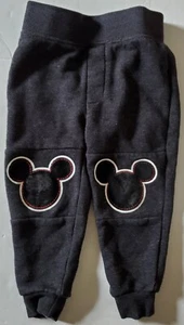 Disney Boys Mickey and the Roadster Racers Gray Joggers - Size 2T - EUC - Picture 1 of 7