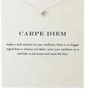 Inspirierende Botschaft Silber Halskette Dreieck Anhänger Geschenkkarte - Carpe Diem - Bild 1 von 3