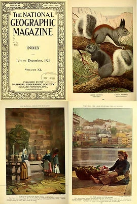 350 Old Rare Issues of The National Geographic Magazines (1889-1922) on 2 DVD - Image 1 of 4