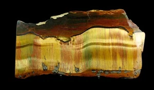 8.6" BRIGHT MAROON,GOLD & NAVY BLUE TIGER EYE MARRA MAMBA STROMATOLITE AUSTRALIA - Picture 1 of 3