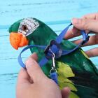 Leash Adjustable Harness Bird Anti Fly Outdoor Training Rope (Blue)