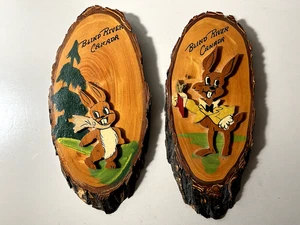 Vintage 50er Jahre Blind River Canada Handarbeit Hase Volkskunst Wandbehang - Bild 1 von 5