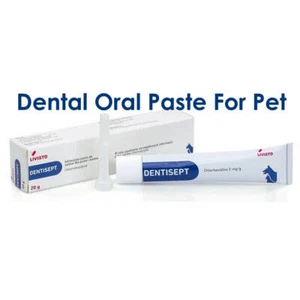 Dentisept Adhesive Dental Oral Paste For Pet Cats & Dogs (20g) - Picture 1 of 1