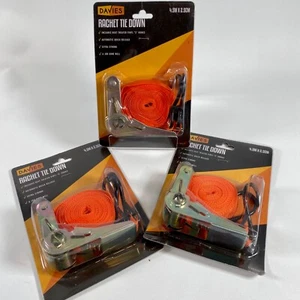 Davies Ratsche Festzurren 4,5m x 2,5 cm 3x extra starker Schnellspanner - Bild 1 von 3