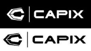 CAPIX BIKE-SKI-SNOWBOARD-WAKEBOARD HELMETS LOGO STICKER DECAL BLACK OR WHITE NEW - Picture 1 of 5