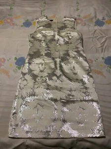 NWOT Talbots Sz 10 Silver Shiny Metallic Cream Sleeveless Rear Zip Dress - Picture 1 of 7
