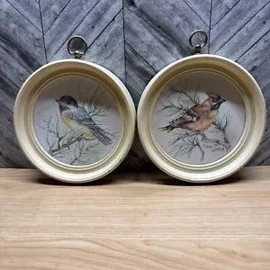 2 Vintage handbemalte runde Rahmen Vögel von Edna Laird - Bild 1 von 7