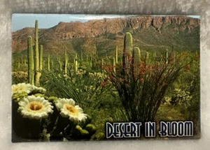 Desert in Bloom FRIDGE MAGNET REFRIGERATOR - Cactus Magnet - Picture 1 of 5