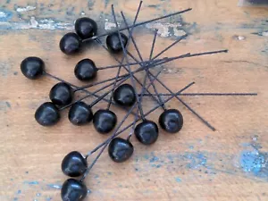 ♡Alte Staubblätter Staubgefäße Staubfäden Früchte schwarz 15 Stück♡ - Bild 1 von 1