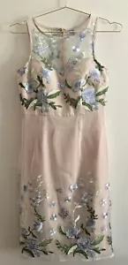 Nuevo con etiquetas Vestido de Jardín Minueto Talla M Floral Bordado Transparente Sin Mangas - Imagen 1 de 9