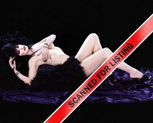 ELVIRA MISTRESS OF THE DARK CASSANDRA PETERSON 8x10 PHOTO #7780 - Picture 1 of 1