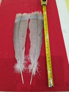 Par grande de plumas híbridas de cola de pavo lila Z68 - Imagen 1 de 1