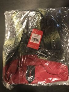 NWT SS18 Supreme x The North Face Green Snakeskin Backpack Day Pack Small Bogo