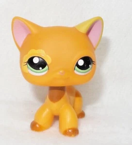 LITTLEST PET SHOP LPS #1643 HASBRO CAT CHAT EUROPEEN BEIGE ORANGE YEUX VERTS - Imagen 1 de 5