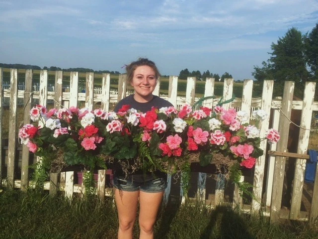 Window Treatment Cotton Candy Hot - Soft Pinks Fit your 44 inch plus window box - Image 1 of 1