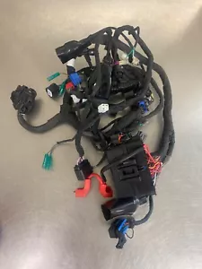2022 CFMOTO 300SS Main Wire Harness - Picture 1 of 8