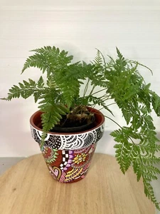 Hand Painted Terracotta Pot-garden art - Plant Decor- Abstract Design- Unique - Picture 1 of 11