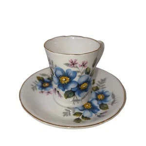 Royal Grafton Demitasse Teacup Saucer Bone China Blue Pink Yellow Floral c1960 - Picture 1 of 11