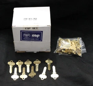 LOT OF 50 KEYS SE1  Key Blanks Made in USA Hudson Lock LLC ESP FROM THE CASE! - Picture 1 of 8