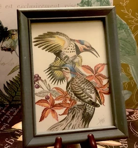 Lápices dibujados a mano/de colores~pájaros y flores~firmados Faci 89~bien hechos~coloridos~ - Imagen 1 de 10
