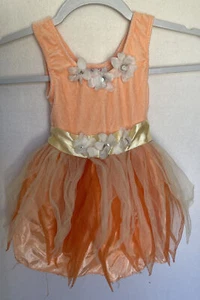 Pretty Chic Girls Sz 2 4 Dress Pink Play Fantasy Princess Costume Fairy Peach - Picture 1 of 9