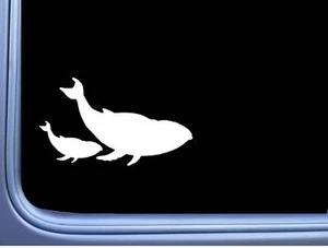 Wal Familie L820 8 Zoll Aufkleber Meereslebewesen Buckel Moby Decal - Bild 1 von 1