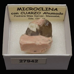 MICROCLINA y CUARZO AHUMADO (Massabe, Sils, Girona, España) #27942 / Microcline - Picture 1 of 1