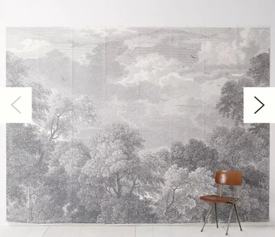 Nuevo en Paquete Grabado Arcadia Papel Pintado Mural Anthropologie York Wallcoverings Foto 1 de 3
