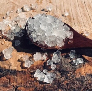 30g Organic Probiotic Live Water Kefir Grains Vegan - Picture 1 of 1