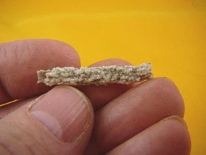 (R352-62) 1-7/8" Fulgurit Blitzschlag Sturm Strand Sand Glas West Texas - Bild 1 von 3