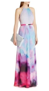 NEW Ted Baker Alexxis Summer At Dusk Print Maxi Dress STUNNING 0-2 - Picture 1 of 10