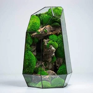 Geometric Terrarium Prism Desktop Office Decor Mossarium Centrepiece Handmade Pr - Picture 1 of 17