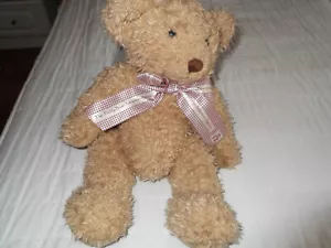 The Teddy Bear Adoption Agency Benjamin Brown Teddy Bear Soft Toy - Picture 1 of 4