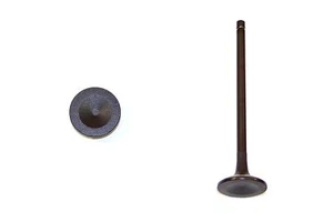 DNJ EV4149 Engine Exhaust Valve For Select 00-16 Ford Mercury Models - Picture 1 of 5