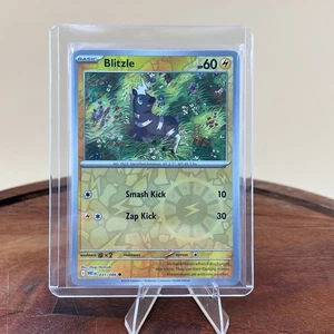 Blitzle 031/086 Holograma Inverso Común - Juego de cartas coleccionables Pokémon Blanco Flare - Casi Nuevo - Imagen 1 de 2