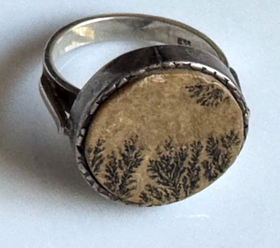 Ring  mit Versteinerung Pflanzen - Antik um 1920 - 835er Silber - Ringgröße 53 - Bild 1 von 4