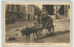 C.P.A / DEP 41 / THÈME / ATTELAGE DE CHIENS / VENDOME - Picture 1 of 1