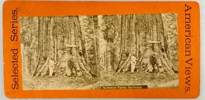 SV027_035 Stereoview California Yosemite Valley - Picture 1 of 1